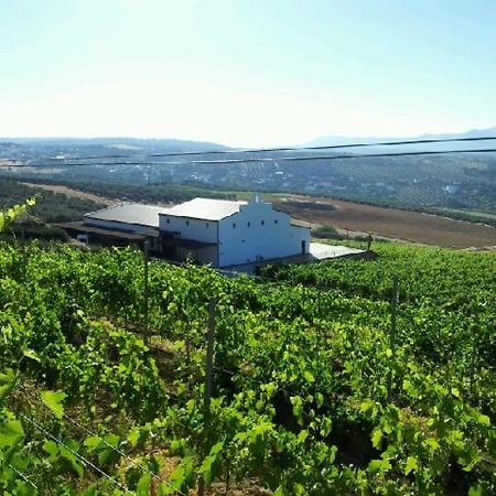 Bodegas Morosanto Apartman La Cimada Kültér fotó