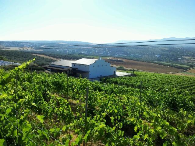 Bodegas Morosanto Apartman La Cimada Kültér fotó
