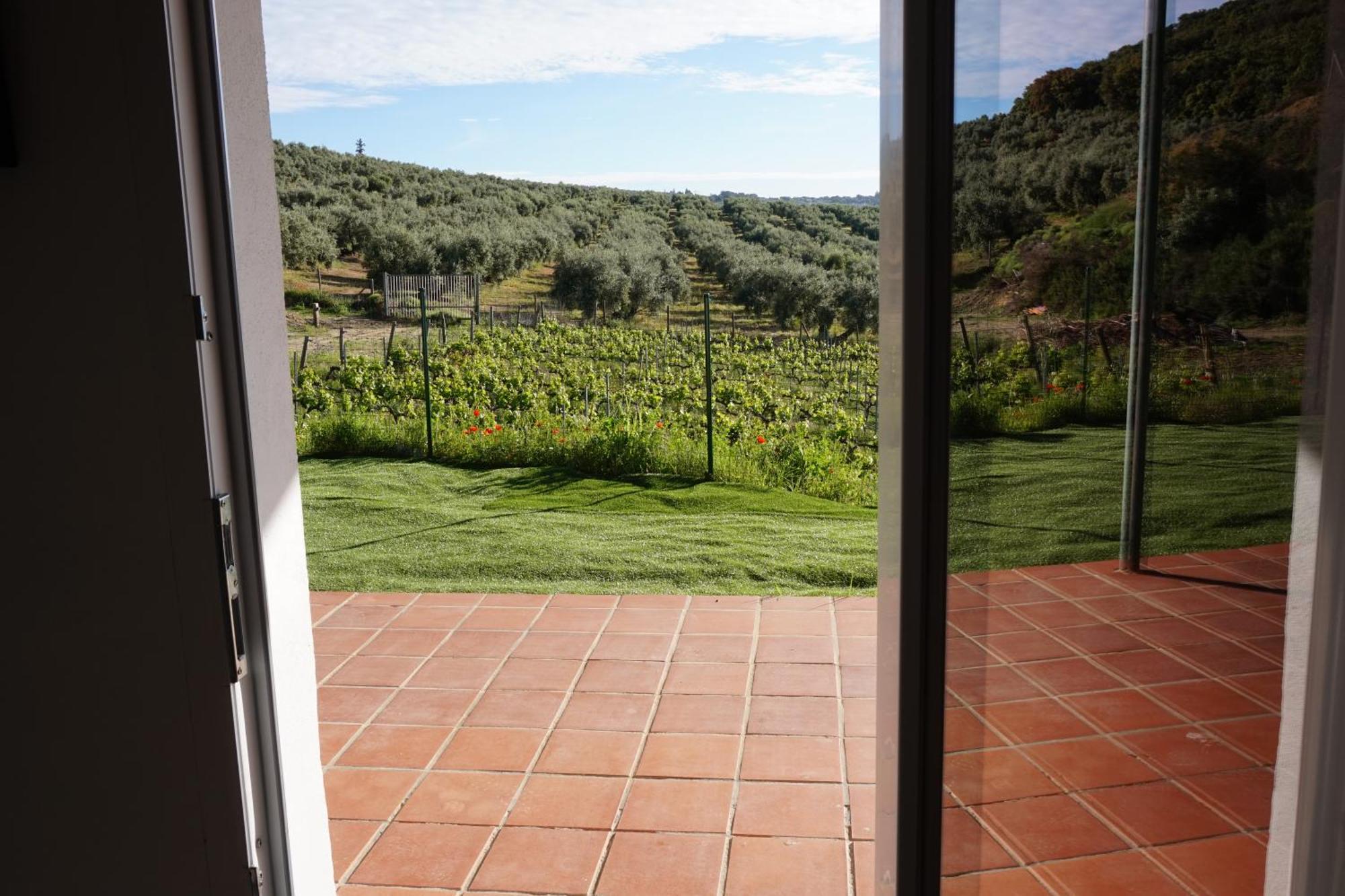 Bodegas Morosanto Apartman La Cimada Kültér fotó